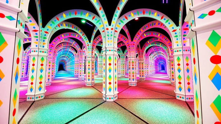 mirror maze tour