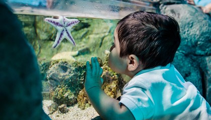 SEA LIFE Minnesota Aquarium